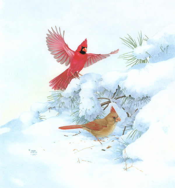 Cardinals in Snow by Glen Loates