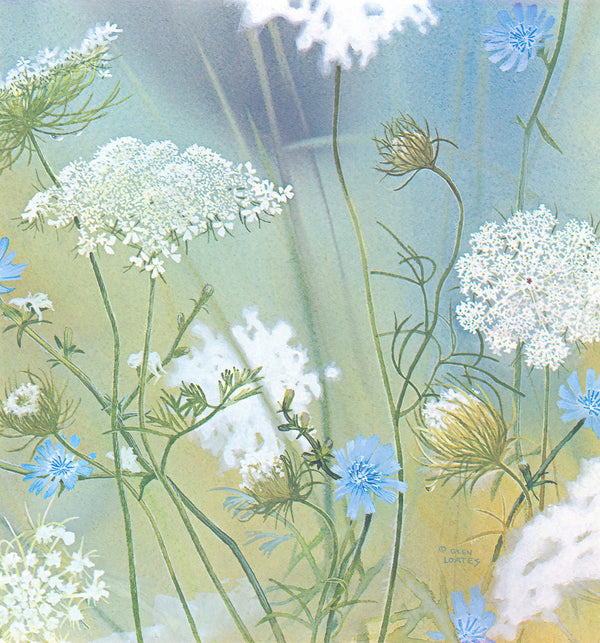 Queen Anne's Lace by Glen Loates