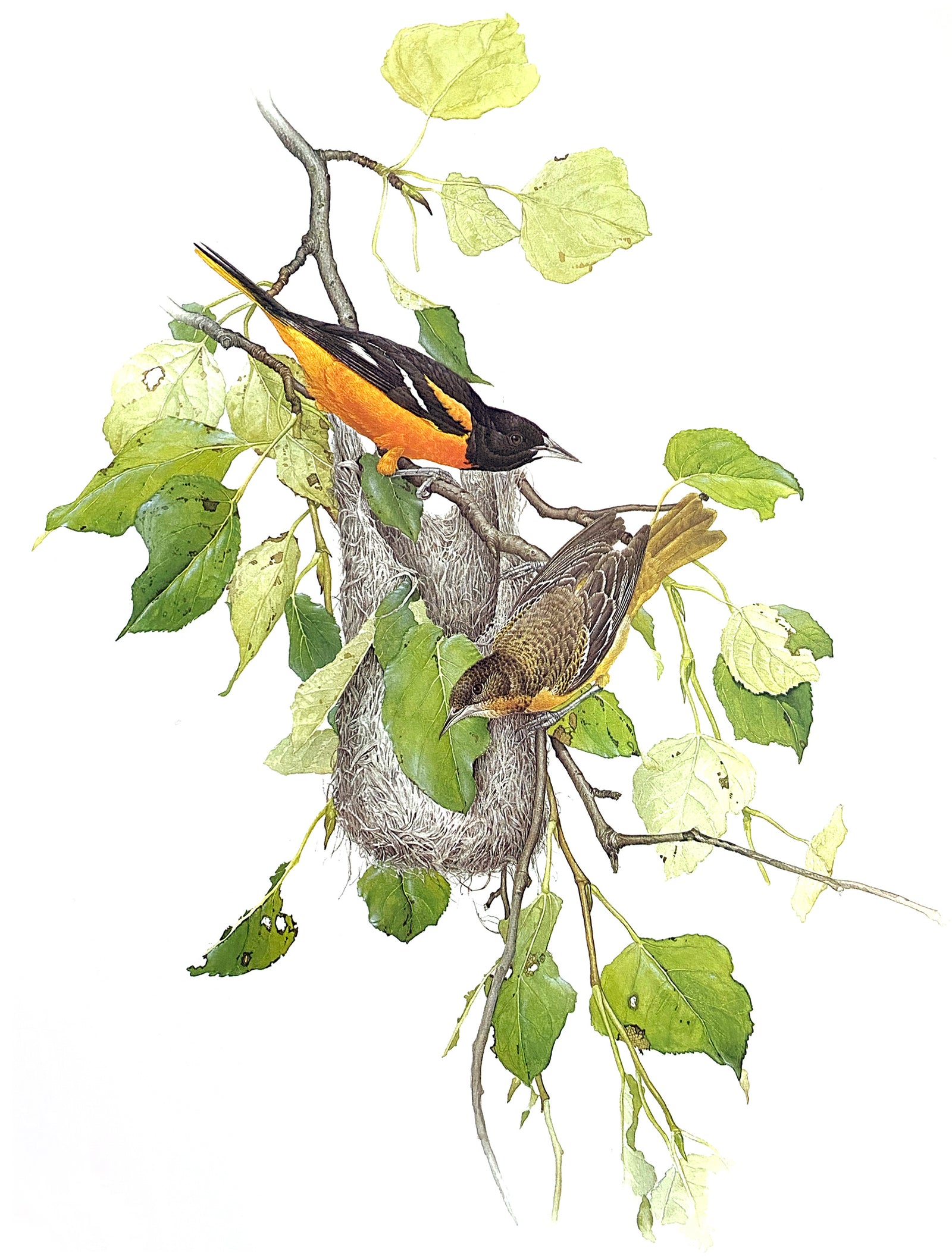 glen loates artworks