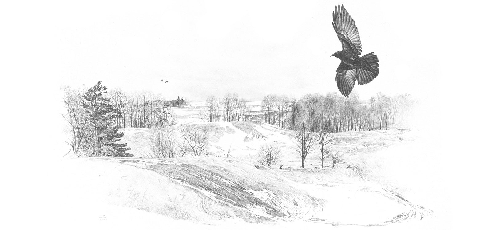 Glen Loates biography