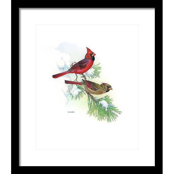 Cardinals - Framed Print | Artwork by Glen Loates