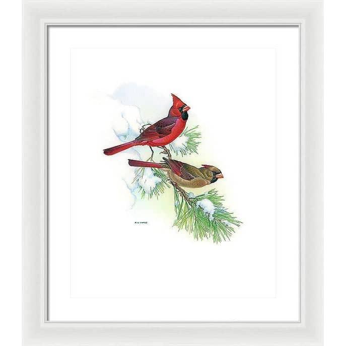 Cardinals - Framed Print | Artwork by Glen Loates