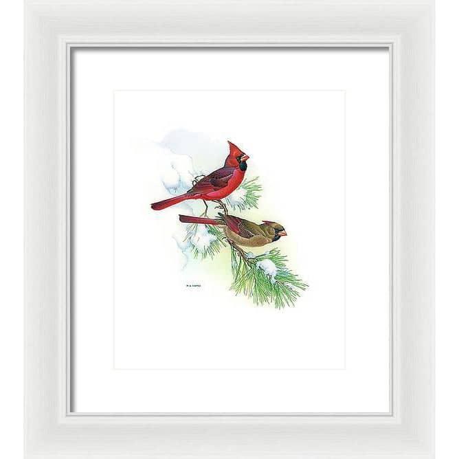Cardinals - Framed Print | Artwork by Glen Loates