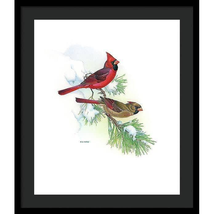 Cardinals - Framed Print | Artwork by Glen Loates