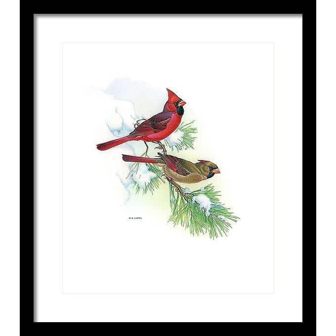 Cardinals - Framed Print | Artwork by Glen Loates