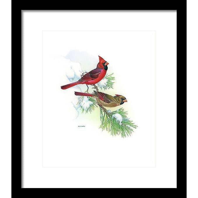 Cardinals - Framed Print | Artwork by Glen Loates