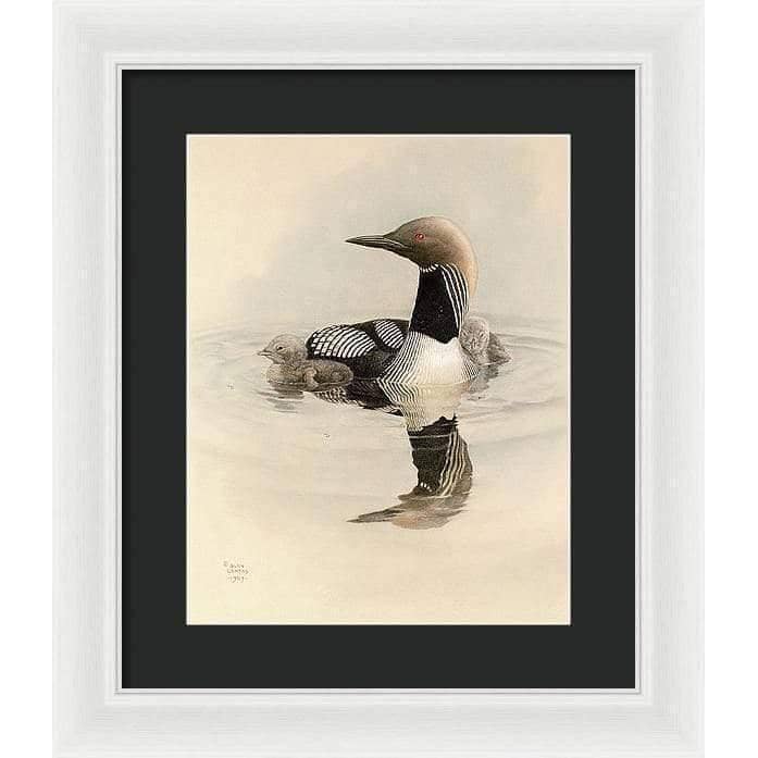 Arctic Loon With Young - Framed Print | Artwork by Glen Loates