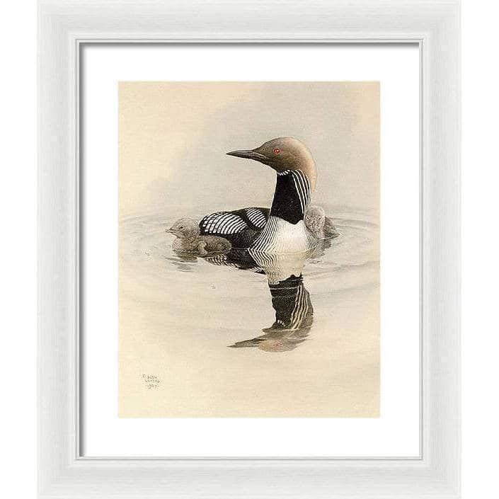 Arctic Loon With Young - Framed Print | Artwork by Glen Loates