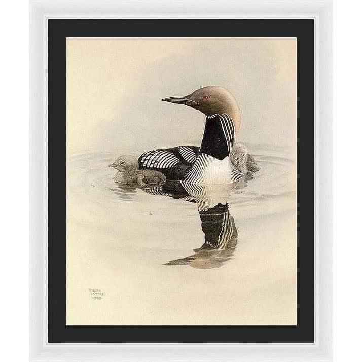 Arctic Loon With Young - Framed Print | Artwork by Glen Loates