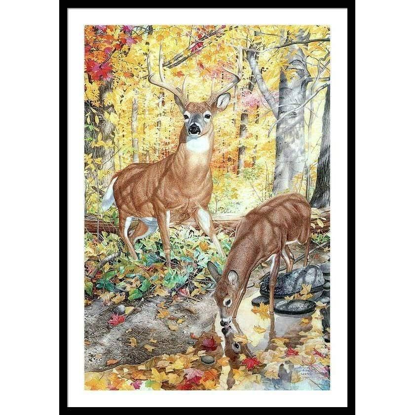 Autumn Deer - Framed Print | Artwork by Glen Loates