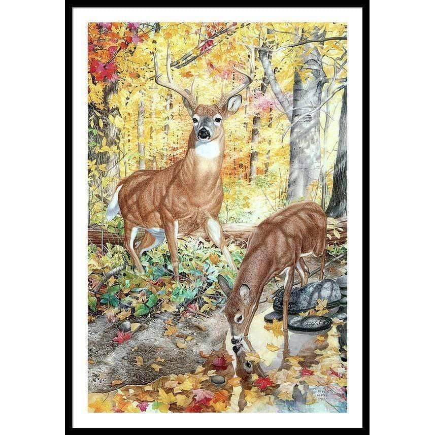 Autumn Deer - Framed Print | Artwork by Glen Loates