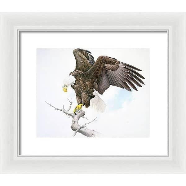 Bald Eagle - Framed Print | Artwork by Glen Loates