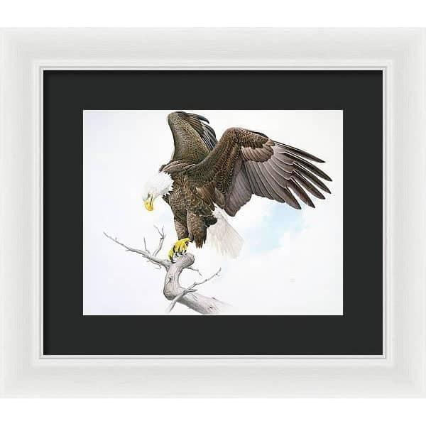 Bald Eagle - Framed Print | Artwork by Glen Loates