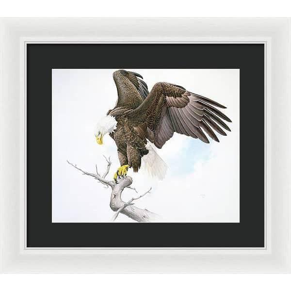 Bald Eagle - Framed Print | Artwork by Glen Loates