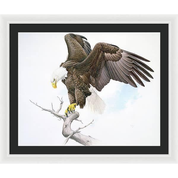 Bald Eagle - Framed Print | Artwork by Glen Loates