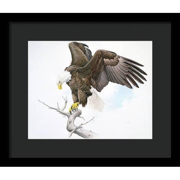 Bald Eagle - Framed Print | Artwork by Glen Loates