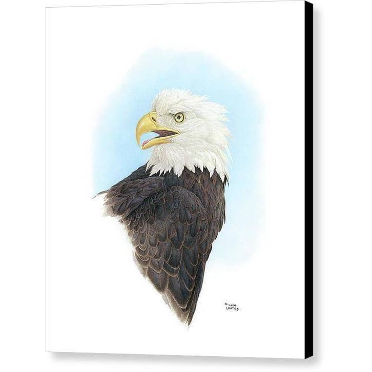 Bald Eagle Head - Canvas Print | Artwork by Glen Loates