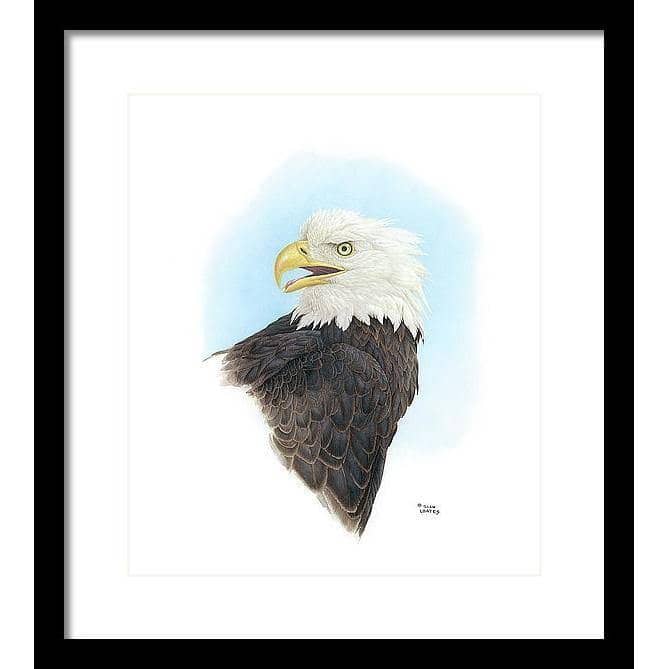 Bald Eagle Head - Framed Print | Artwork by Glen Loates