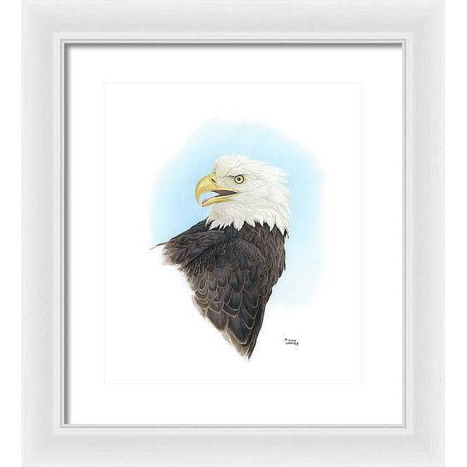 Bald Eagle Head - Framed Print | Artwork by Glen Loates