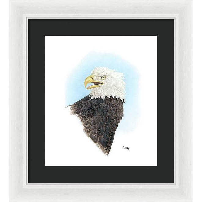 Bald Eagle Head - Framed Print | Artwork by Glen Loates