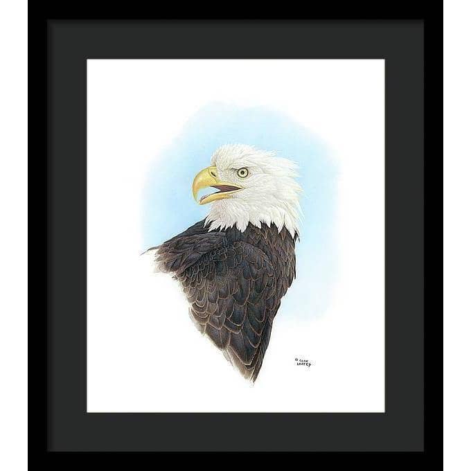 Bald Eagle Head - Framed Print | Artwork by Glen Loates
