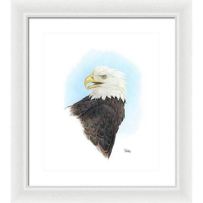 Bald Eagle Head - Framed Print | Artwork by Glen Loates