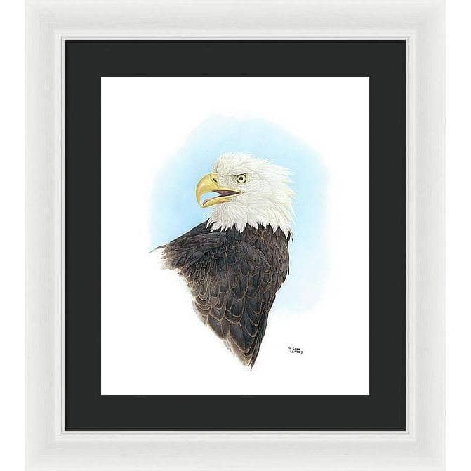 Bald Eagle Head - Framed Print | Artwork by Glen Loates