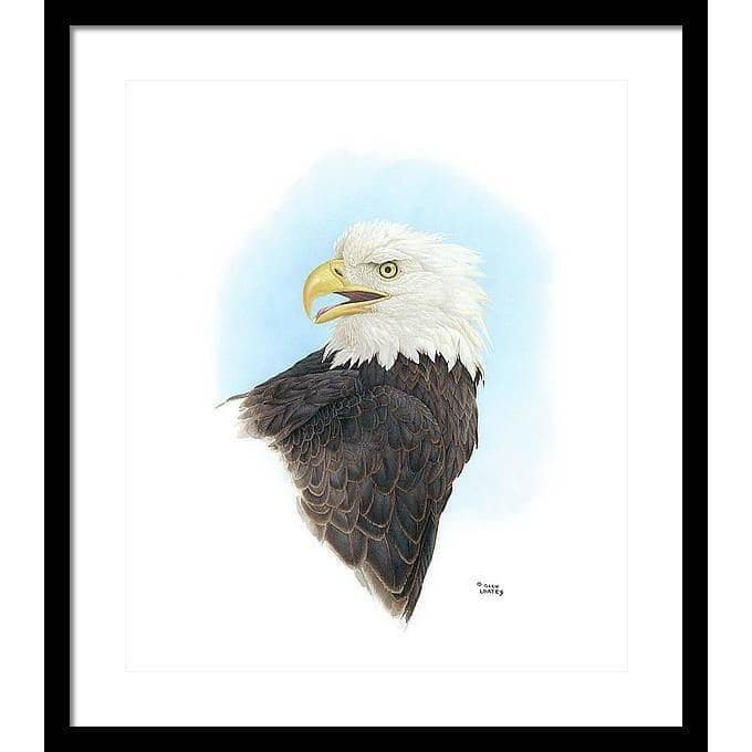 Bald Eagle Head - Framed Print | Artwork by Glen Loates