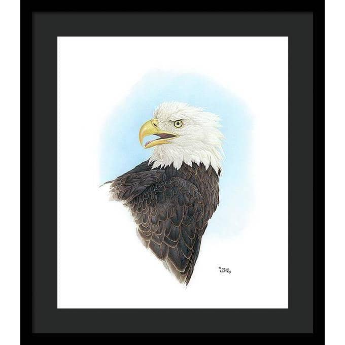 Bald Eagle Head - Framed Print | Artwork by Glen Loates