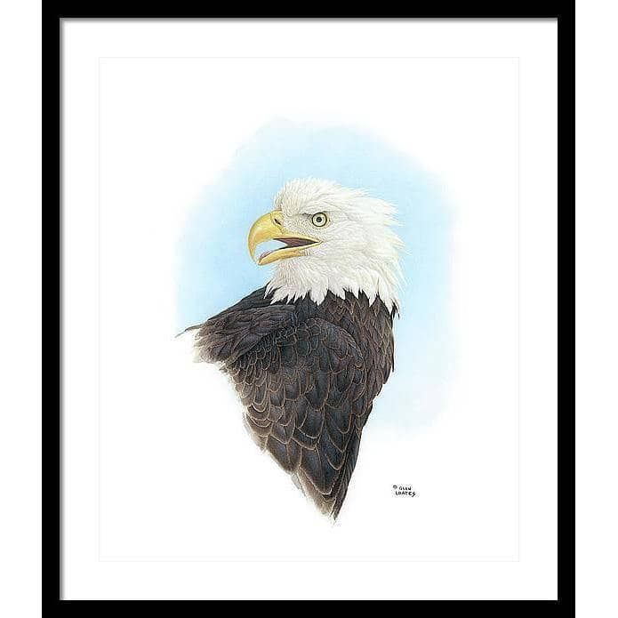 Bald Eagle Head - Framed Print | Artwork by Glen Loates