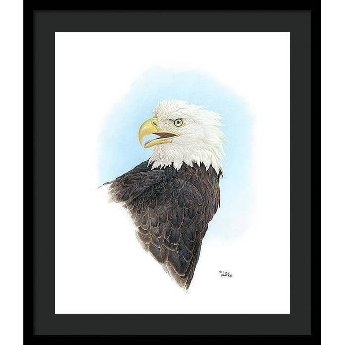 Bald Eagle Head - Framed Print | Artwork by Glen Loates