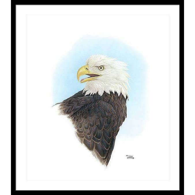 Bald Eagle Head - Framed Print | Artwork by Glen Loates