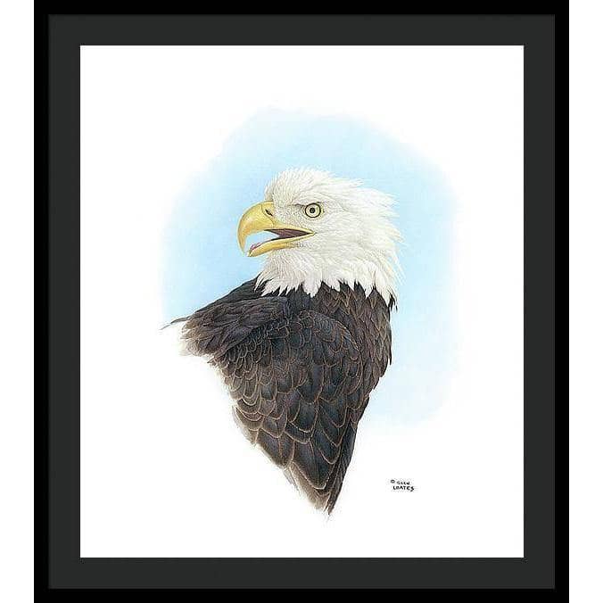 Bald Eagle Head - Framed Print | Artwork by Glen Loates