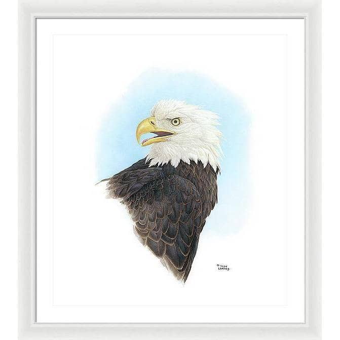 Bald Eagle Head - Framed Print | Artwork by Glen Loates