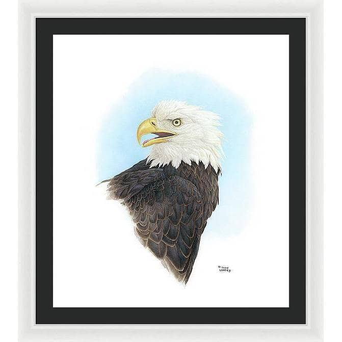 Bald Eagle Head - Framed Print | Artwork by Glen Loates