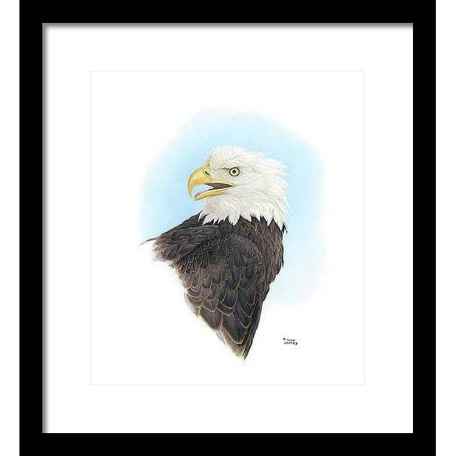 Bald Eagle Head - Framed Print | Artwork by Glen Loates