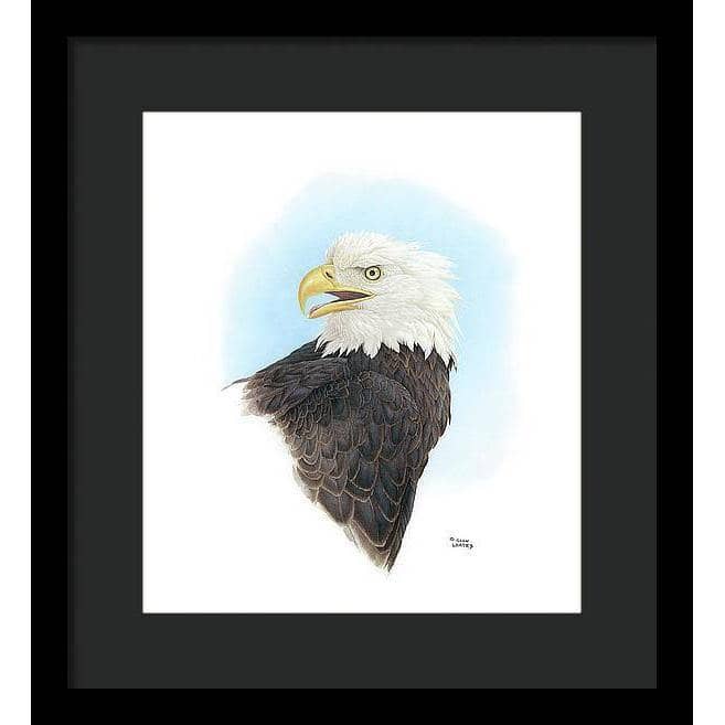 Bald Eagle Head - Framed Print | Artwork by Glen Loates