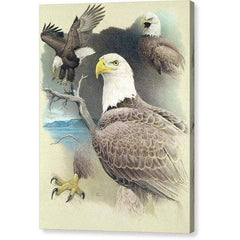 Gallery Canvas
