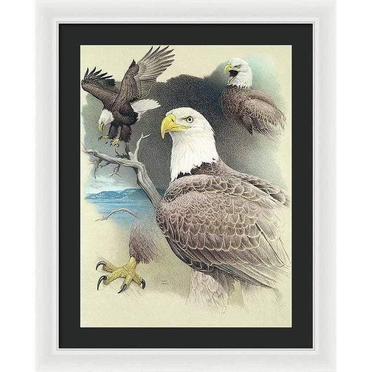 Bald Eagle Montage - Framed Print | Artwork by Glen Loates