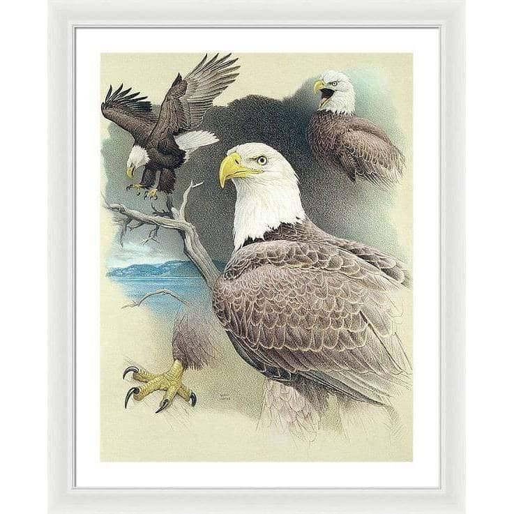 Bald Eagle Montage - Framed Print | Artwork by Glen Loates