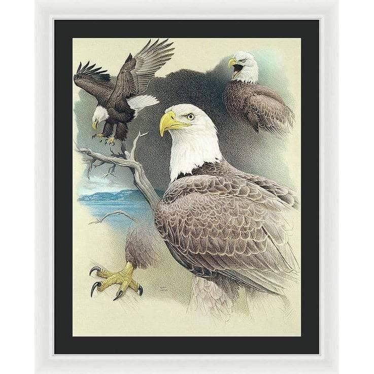 Bald Eagle Montage - Framed Print | Artwork by Glen Loates