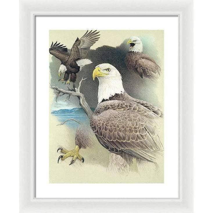 Bald Eagle Montage - Framed Print | Artwork by Glen Loates