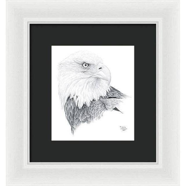 Bald Eagle Portrait - Framed Print | Artwork by Glen Loates