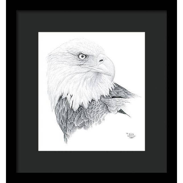 Bald Eagle Portrait - Framed Print | Artwork by Glen Loates
