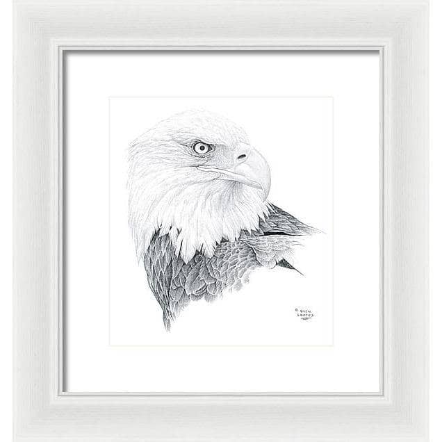 Bald Eagle Portrait - Framed Print | Artwork by Glen Loates