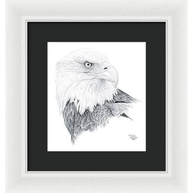 Bald Eagle Portrait - Framed Print | Artwork by Glen Loates