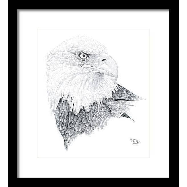 Bald Eagle Portrait - Framed Print | Artwork by Glen Loates