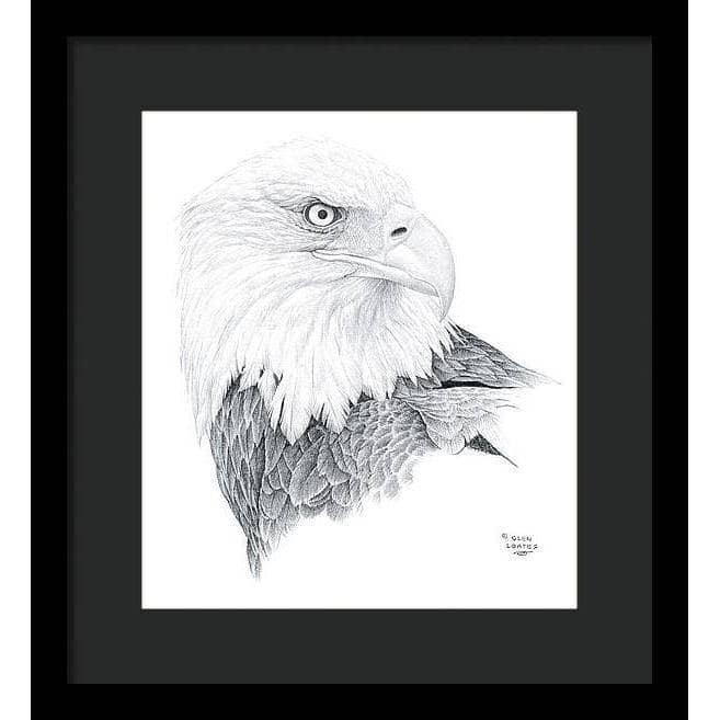 Bald Eagle Portrait - Framed Print | Artwork by Glen Loates