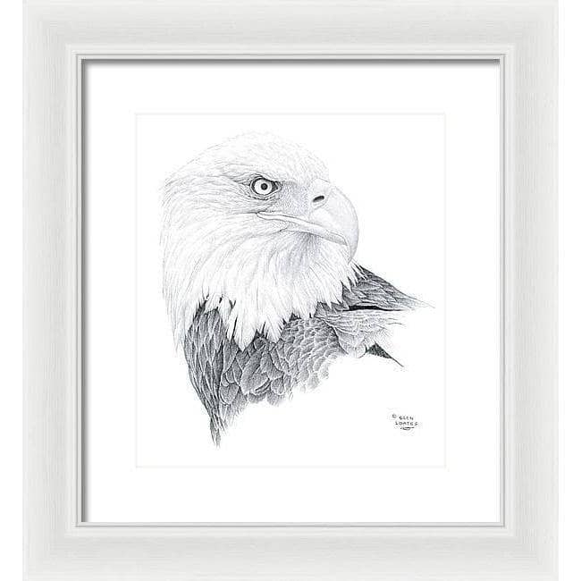 Bald Eagle Portrait - Framed Print | Artwork by Glen Loates