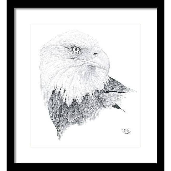 Bald Eagle Portrait - Framed Print | Artwork by Glen Loates